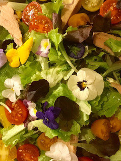 Una foto de Ensalada con flores, 🌺tomatitos cherry de tres colores y bonito del norte