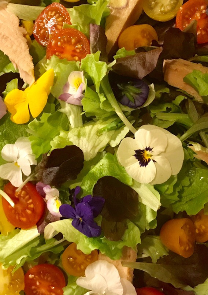 Una foto de Ensalada con flores, 🌺tomatitos cherry de tres colores y bonito del norte