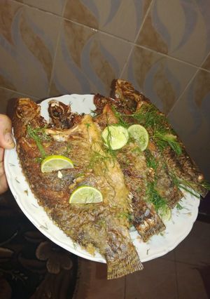 صورة لوصفة سمك بلطي مقلي