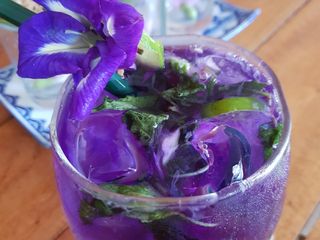 Violet vergin Mojito