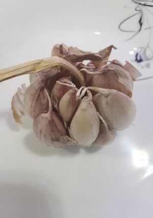 عکسی از دستور خواص درمانی سیر