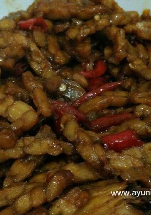 Foto resep Tempe Kecap Enak Sederhana