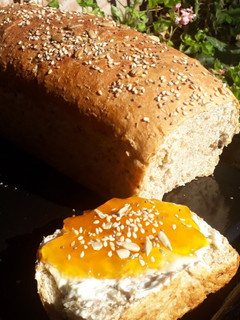 Una foto de Pan integral 🍞