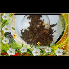 Miyar rama A picture of Miyar rama.