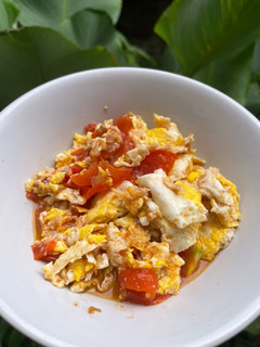 Foto resep Tumis telur tomat