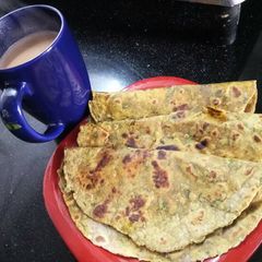 A picture of Methi thepla.