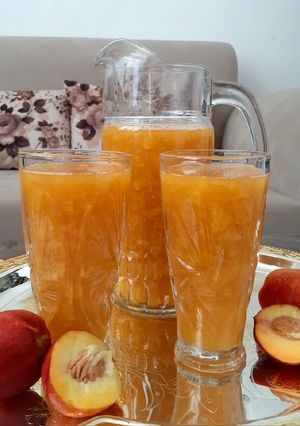 عکسی از دستور رانی شلیل