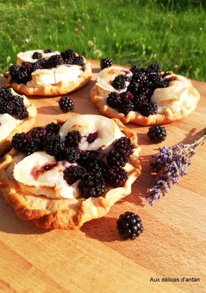 Une photo de Tartelettes chèvre et mûre