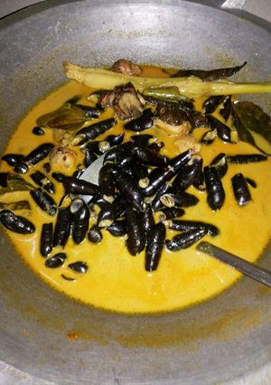Foto resep Gulai ciput (cih/cowloh/sedot)