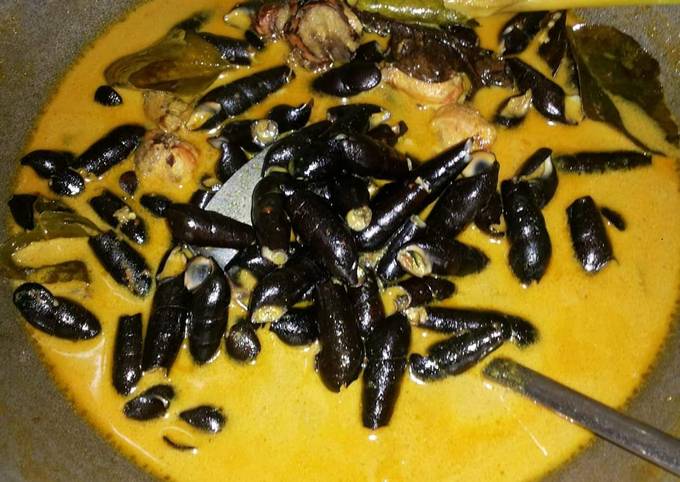 Gulai ciput (cih/cowloh/sedot)