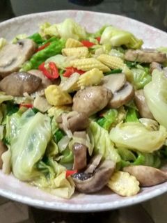 蒜苗炒高麗菜嬰 的食譜成品照片