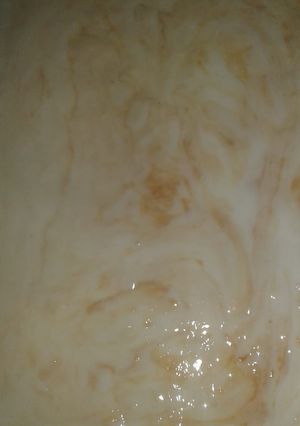 Una foto de Postre de Maizena y azúcar quemada