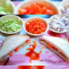 A picture of Veg mayo sandwich (eggless).