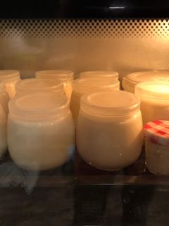 Hình của món Sữa chua nhà làm.