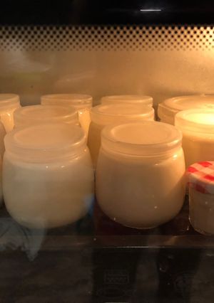 Hình của món Sữa chua nhà làm.
