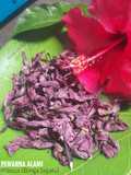 Pewarna Alami Hibiscus (Bunga Sepatu) ala Violet Azalea