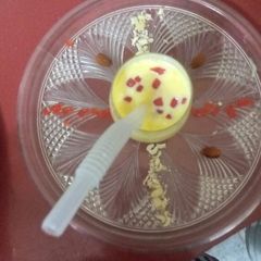 A picture of Milk Badam.