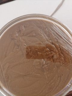 عکسی از دستور سمنو