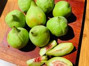 Hình ảnh của trái đào