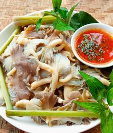 nấm bào ngư hấp