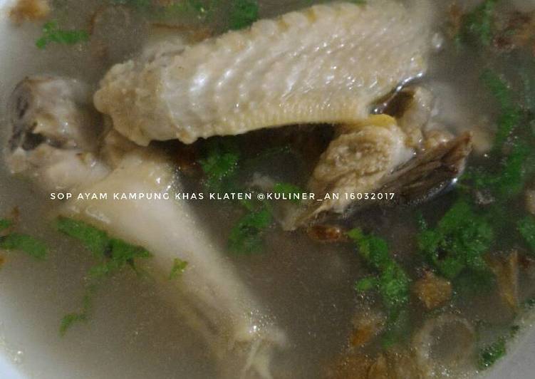 Cara Membuat Sop Ayam Kampung khas Klaten Anti Gagal!