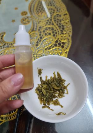 Hình của món Húng chanh hấp đường phèn trị ho.