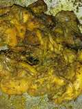 Oseng asin kerang manuk