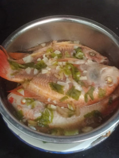 Foto resep Tim Ikan Nila Simple