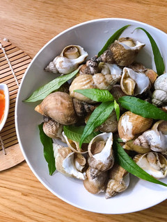 Hình của món Ốc Bulot Luộc Chấm Nước Mắm Gừng.