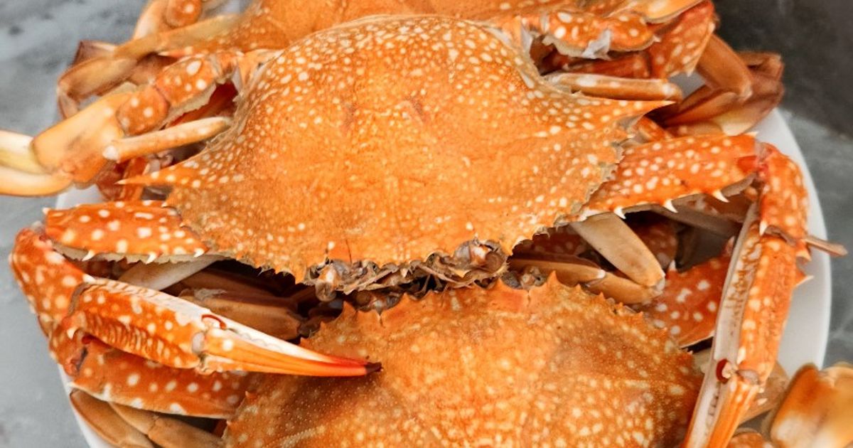 Kepiting rajungan rebus