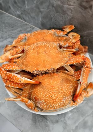 Foto resep Kepiting rajungan rebus