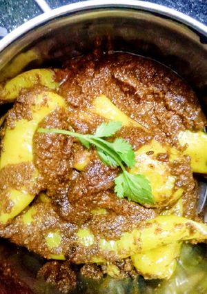 भरवा मिर्च (bharwa mirch recipe in Hindi) रेसिपी मुख्य फोटो