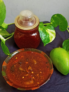 ગોળ કેરી નું અથાણું (Gol Keri Aachar Recipe In Gujarati) રેસીપી મુખ્ય ફોટો