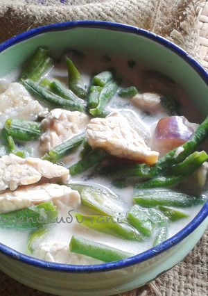 Foto resep Lodeh sederhana