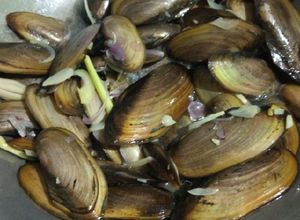 Foto resep Tumis Kijing (kerang air tawar) Simple