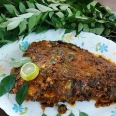 A picture of Avoli fish full.