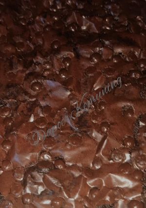 Foto resep Fudgy Brownies