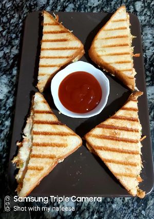 A picture of White sauce chicken sandwich.