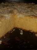 Torta esponja con leche condensada