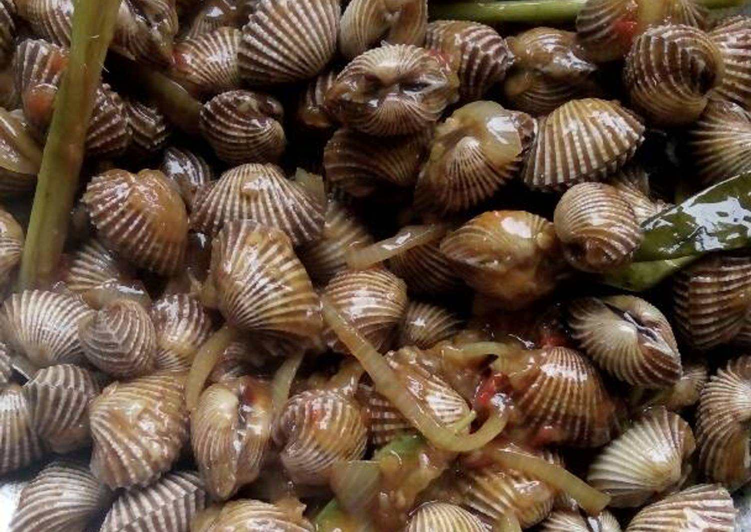 Resep Kerang saus padang oleh Novi Cookpad