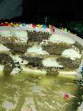 Torta tablero de ajedrez