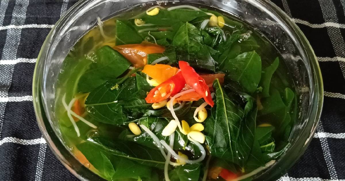 Resep Sayur Bening Daun Katuk Dan Kecambah Kedelai Oleh Aticka W Cookpad