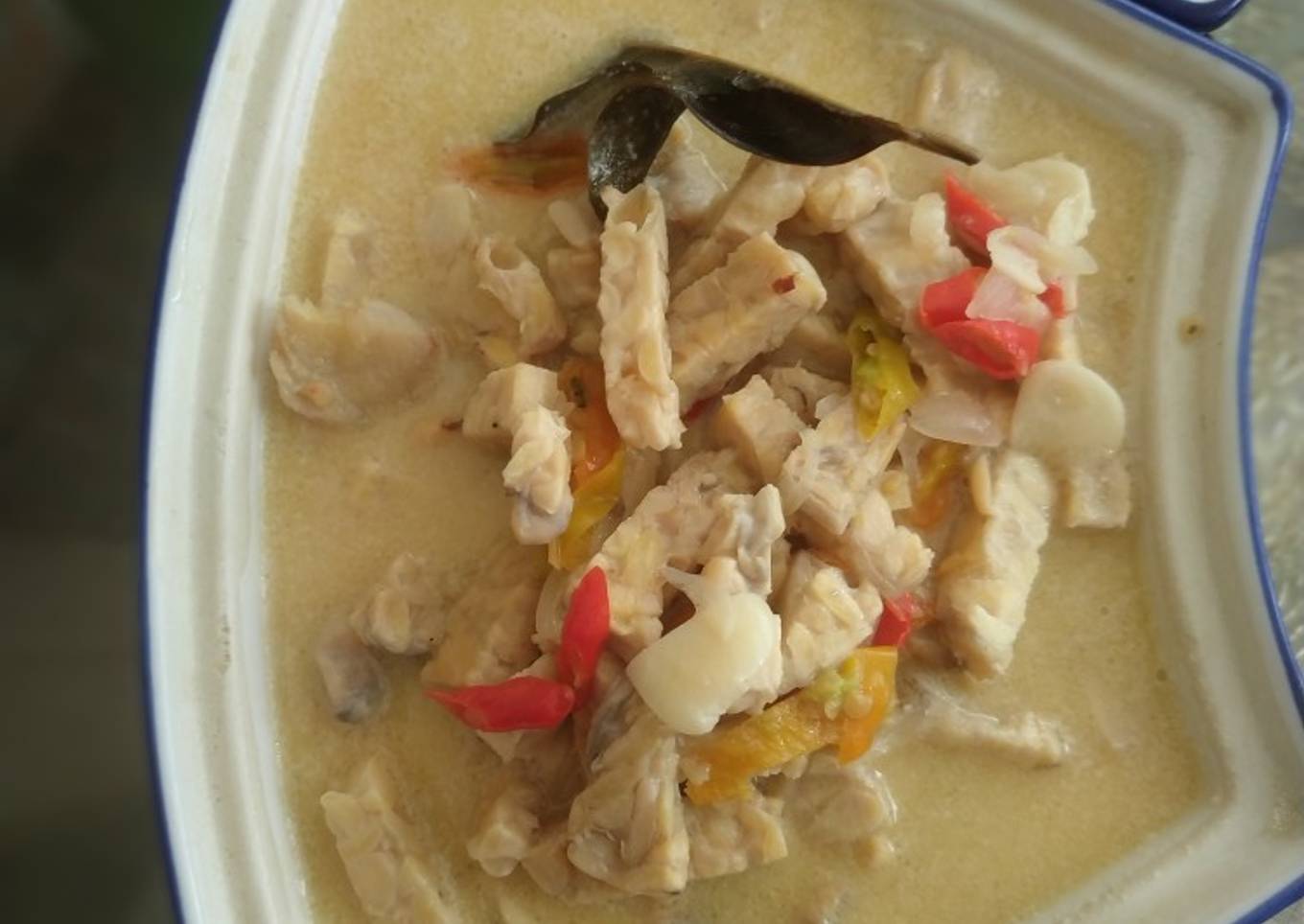 Tempe kuah santan