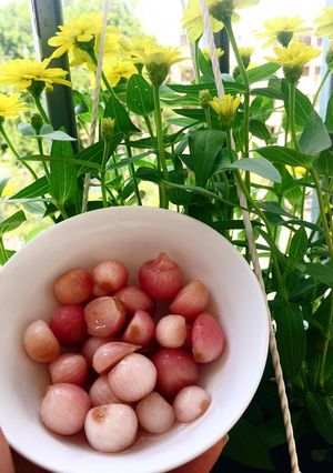Hình của món Hành tím ngâm giấm.
