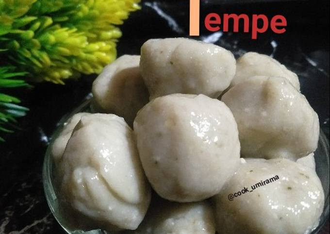 Resep Baso Aci Tempe Oleh Umi Rama Cookpad