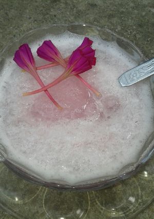 عکسی از دستور بستنی یخی و یخ در بهشت ژله ای