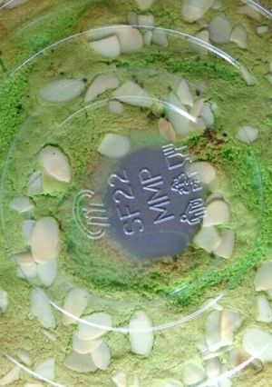 Foto resep Chiffon pandan