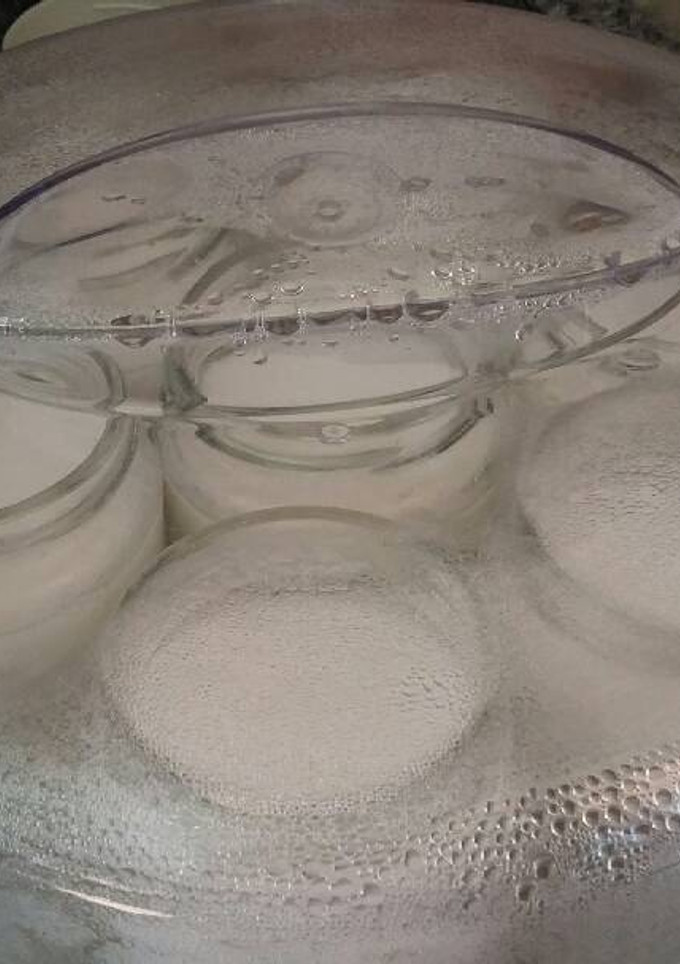Una foto de Yogurt en yogurtera