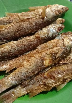 Foto resep Ikan belanak goreng