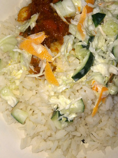 A picture of Rice and stew.